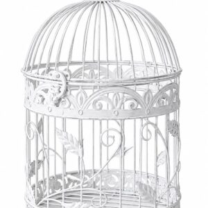 Various White Bird Cages (Plain)